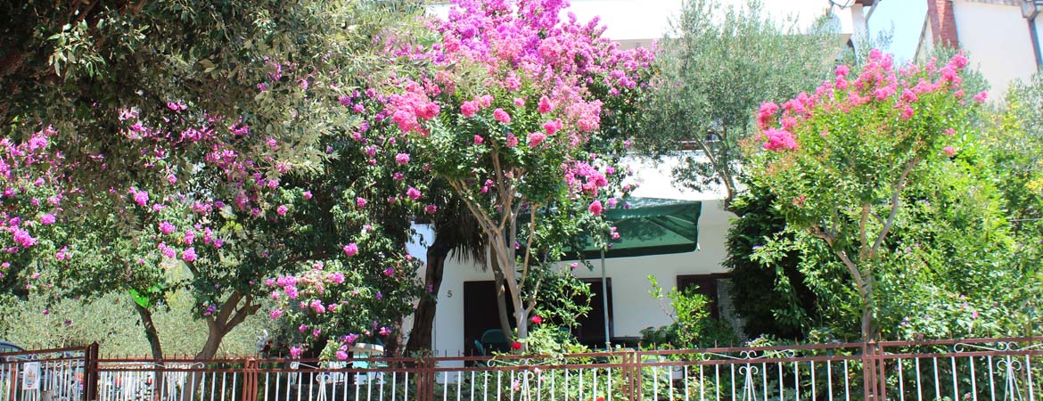 Vila Filipović Živogošće