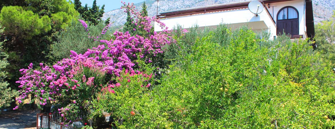 Vila Filipović Živogošće