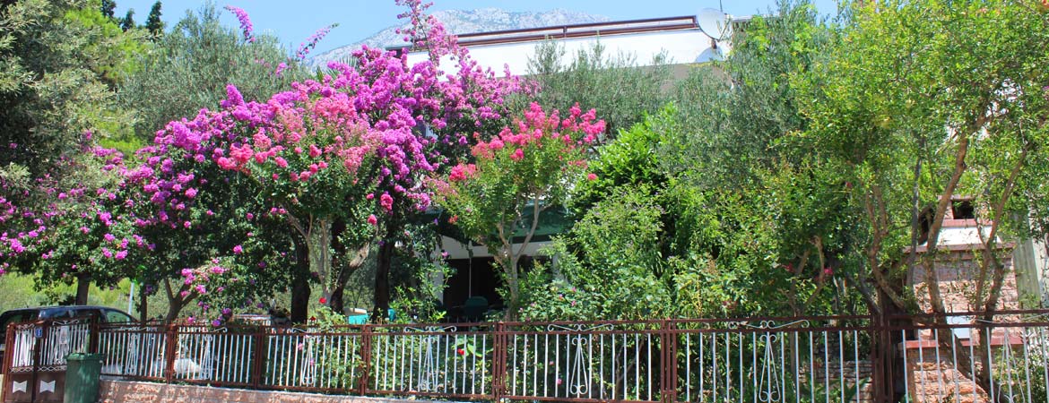 Vila Filipović Živogošće