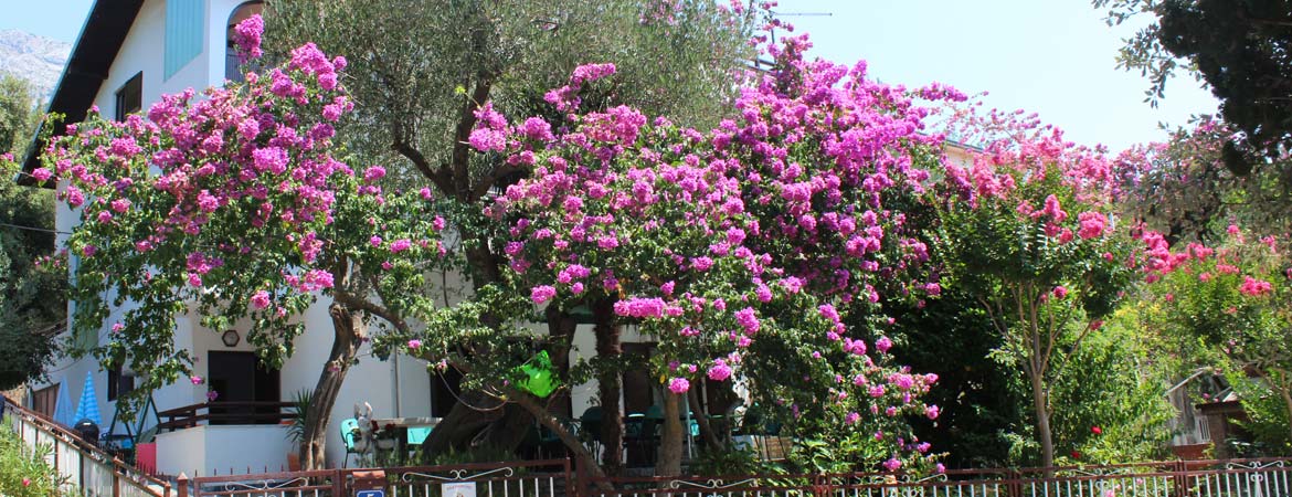 Vila Filipović Živogošće