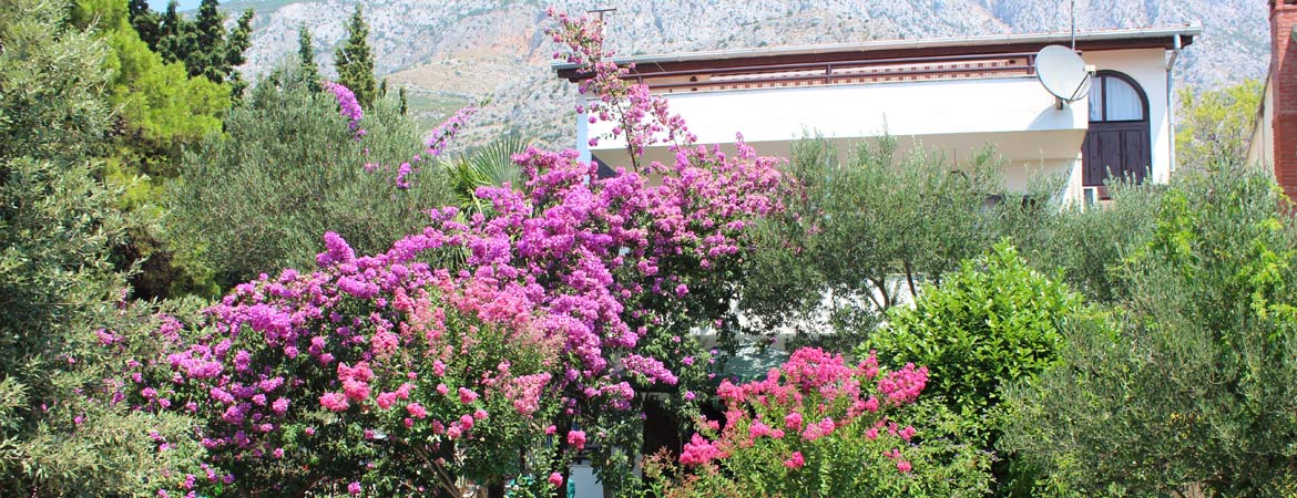 Vila Filipović Živogošće